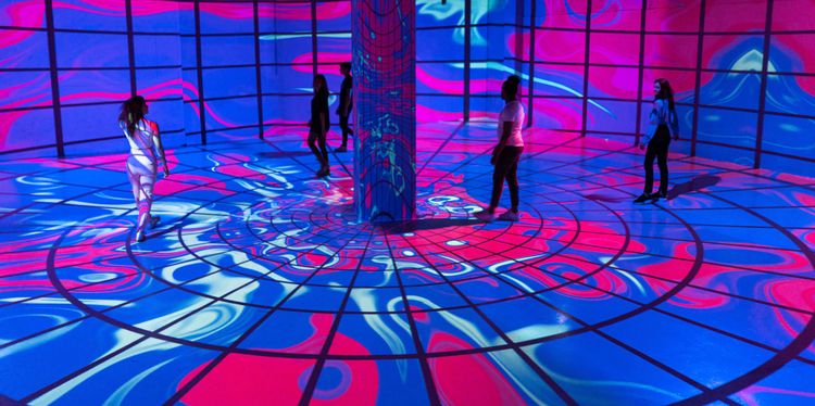 Motion Imagination Experience